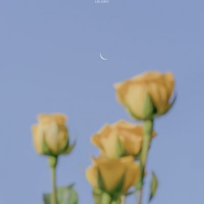 爱体育APPapp下载